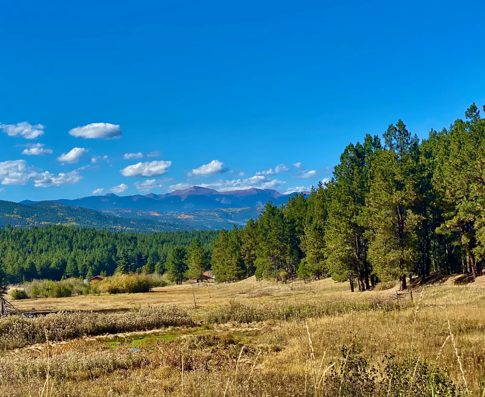 The Ranch at Angel Fire image 3