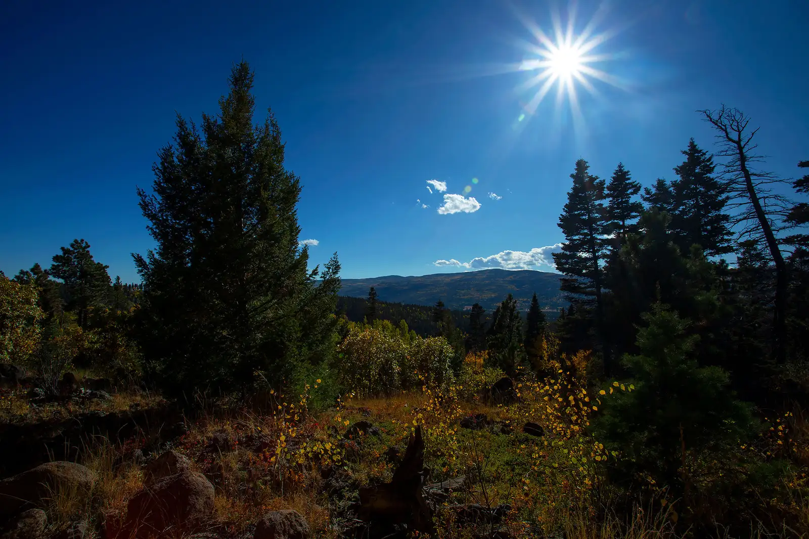 The Ranch at Angel Fire image 21