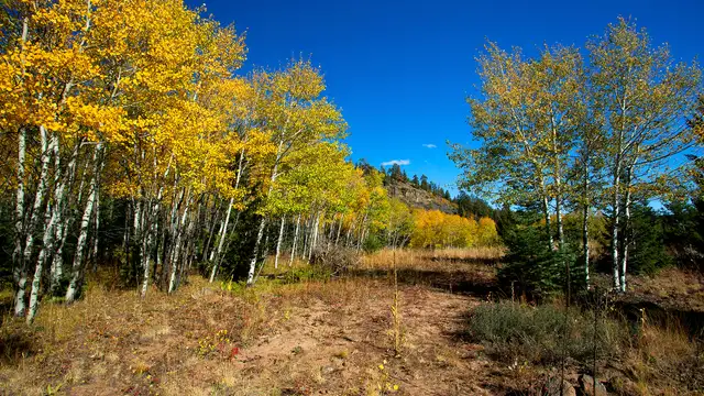 View image 6