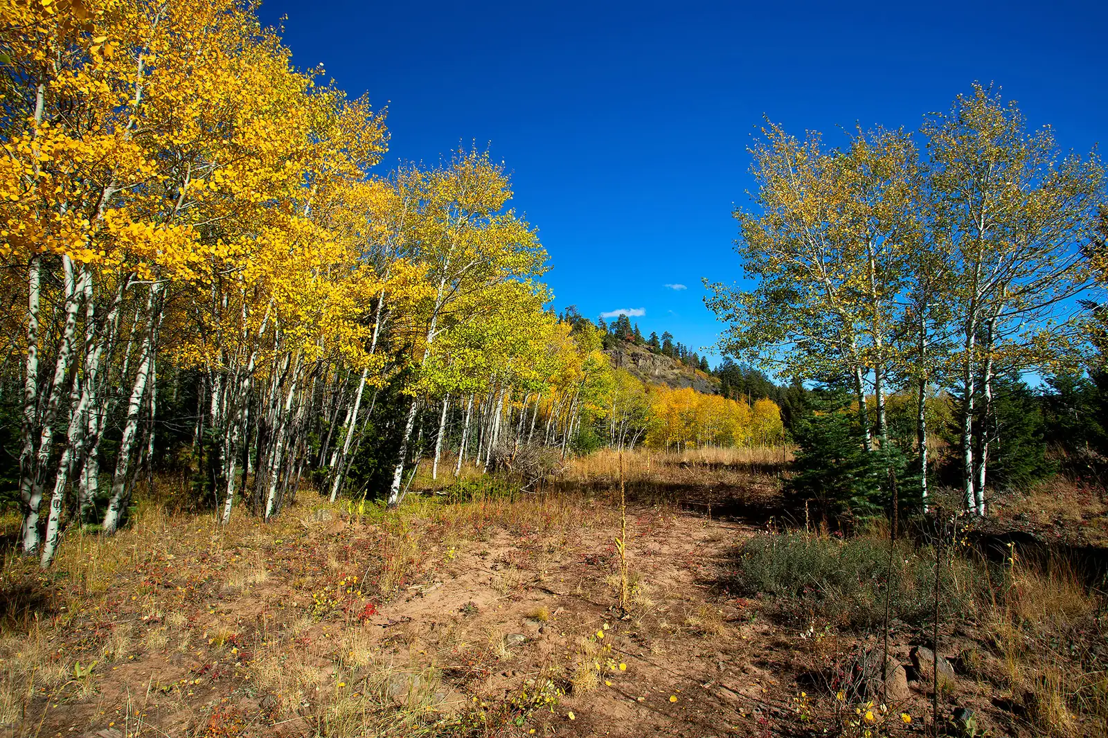 The Ranch at Angel Fire image 6