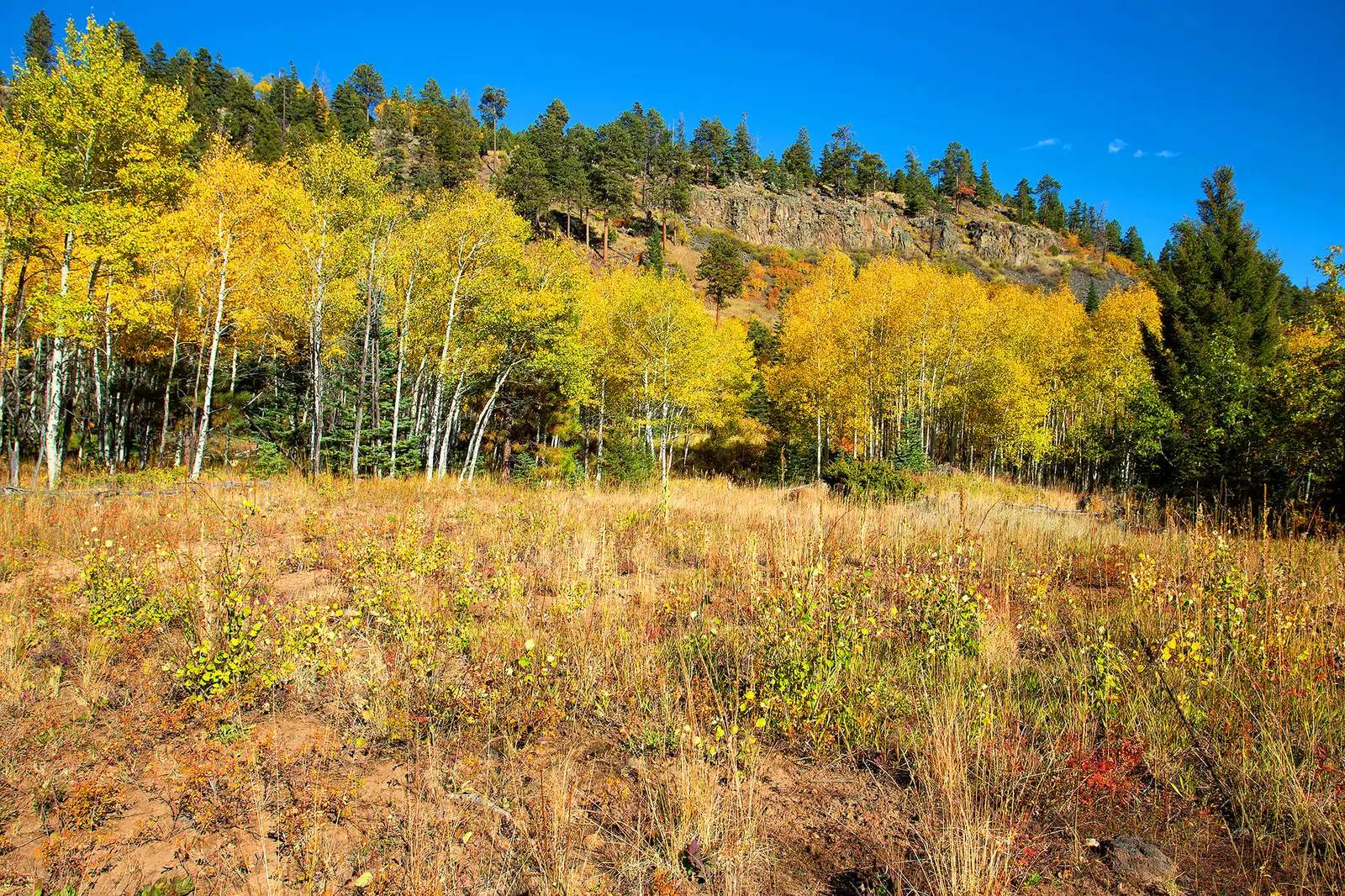 The Ranch at Angel Fire image 23