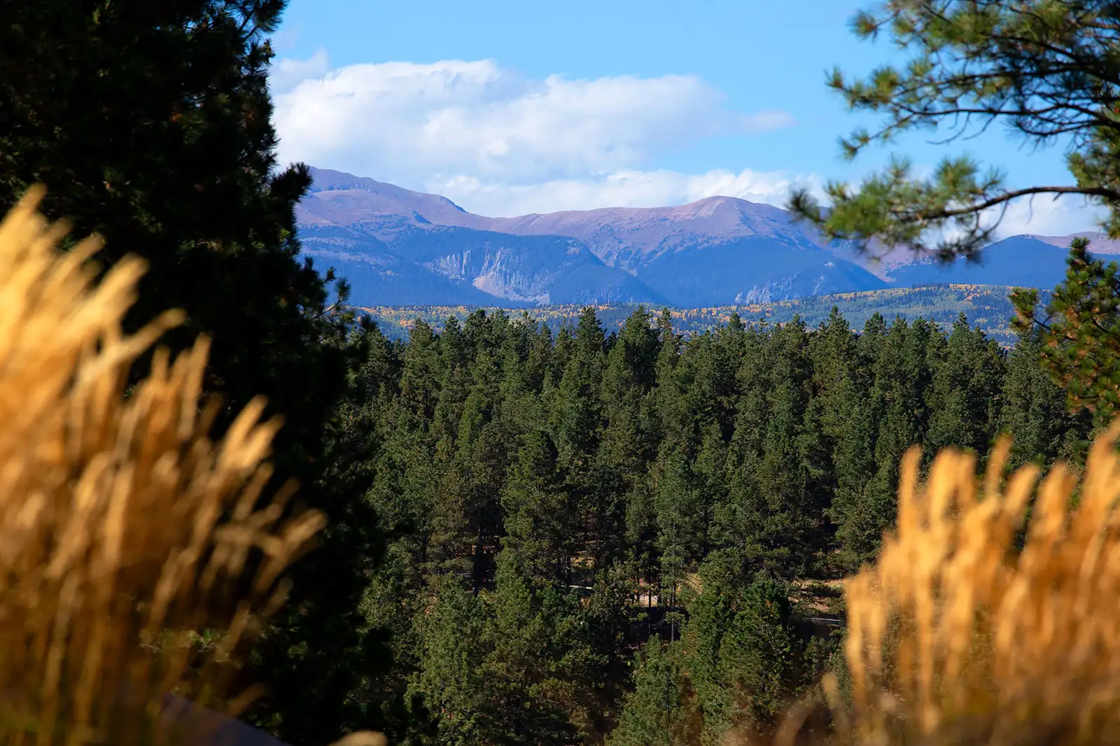 The Ranch at Angel Fire image 16