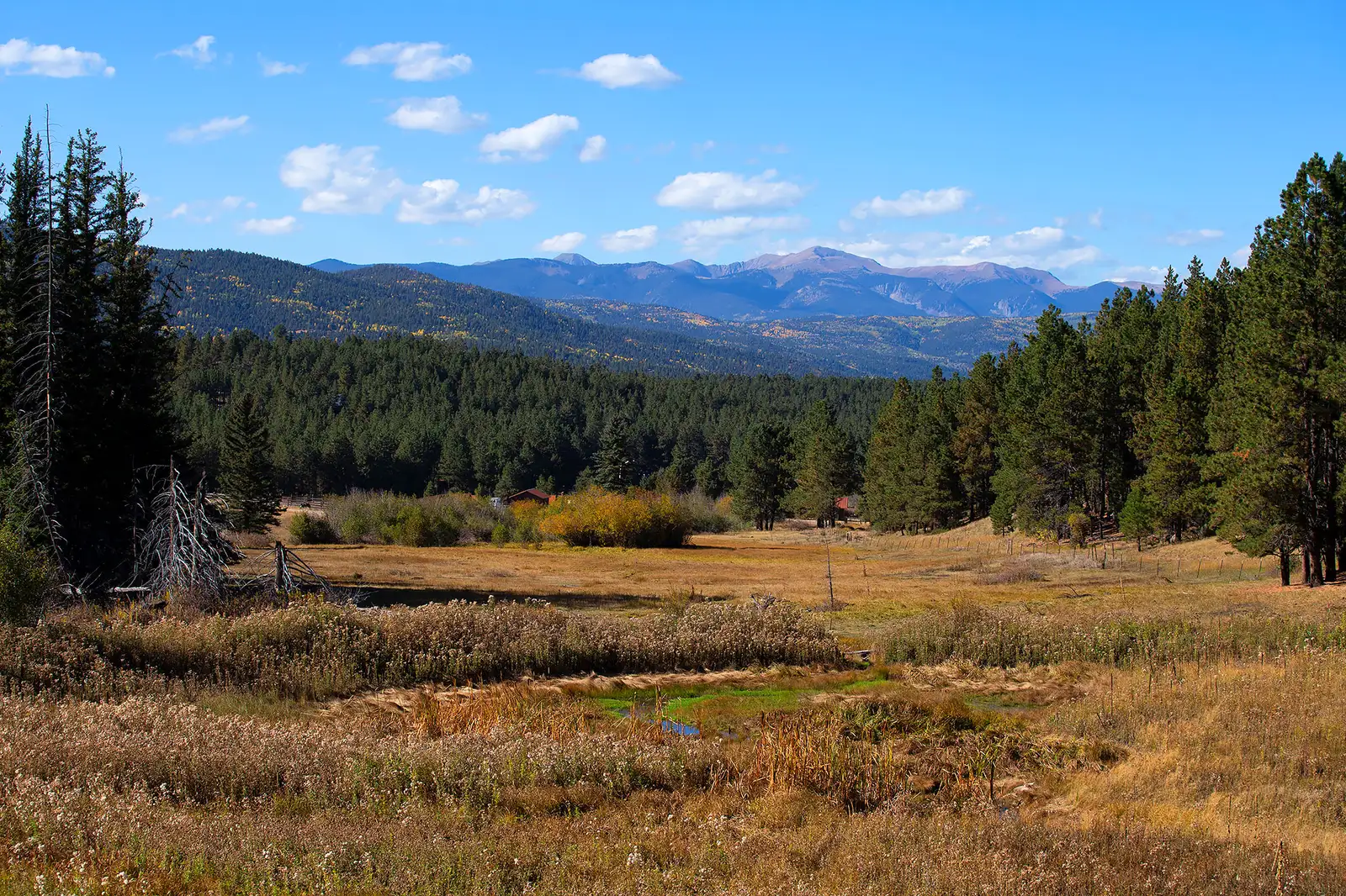 The Ranch at Angel Fire image 25