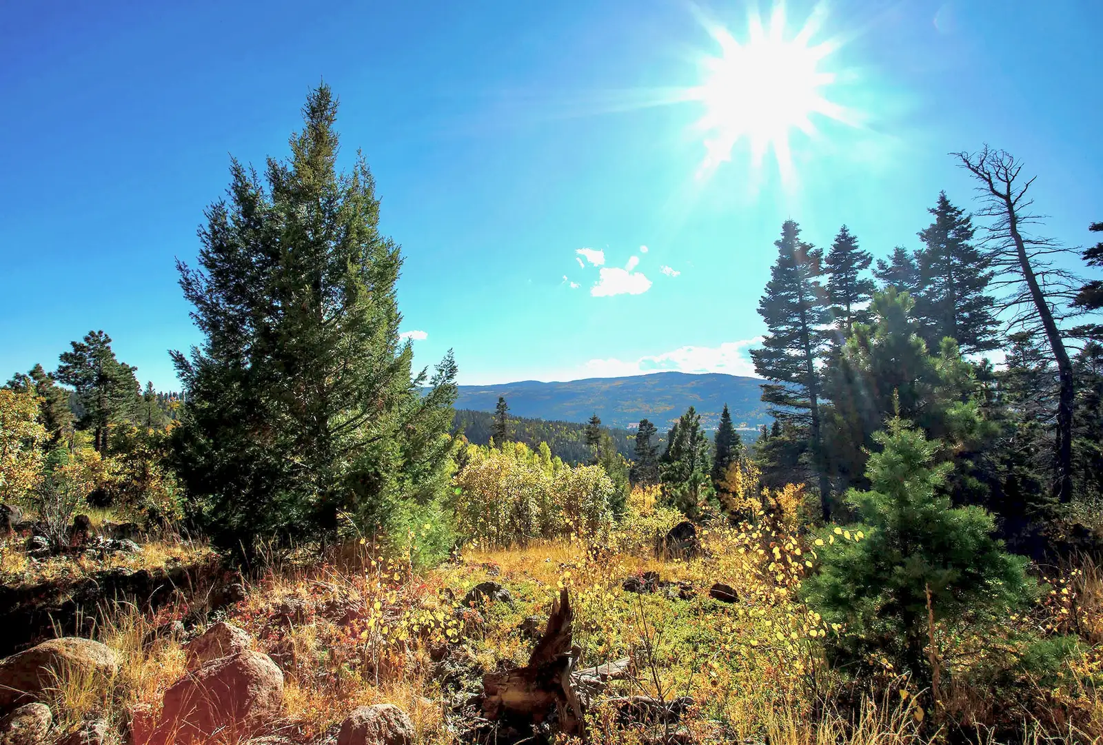 The Ranch at Angel Fire image 18