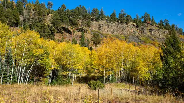 View image 8