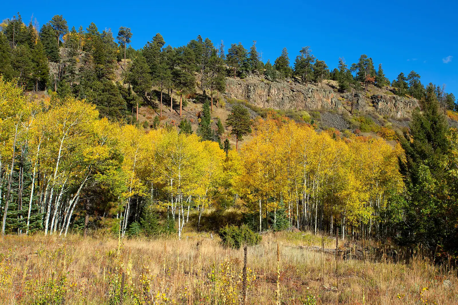 The Ranch at Angel Fire image 8