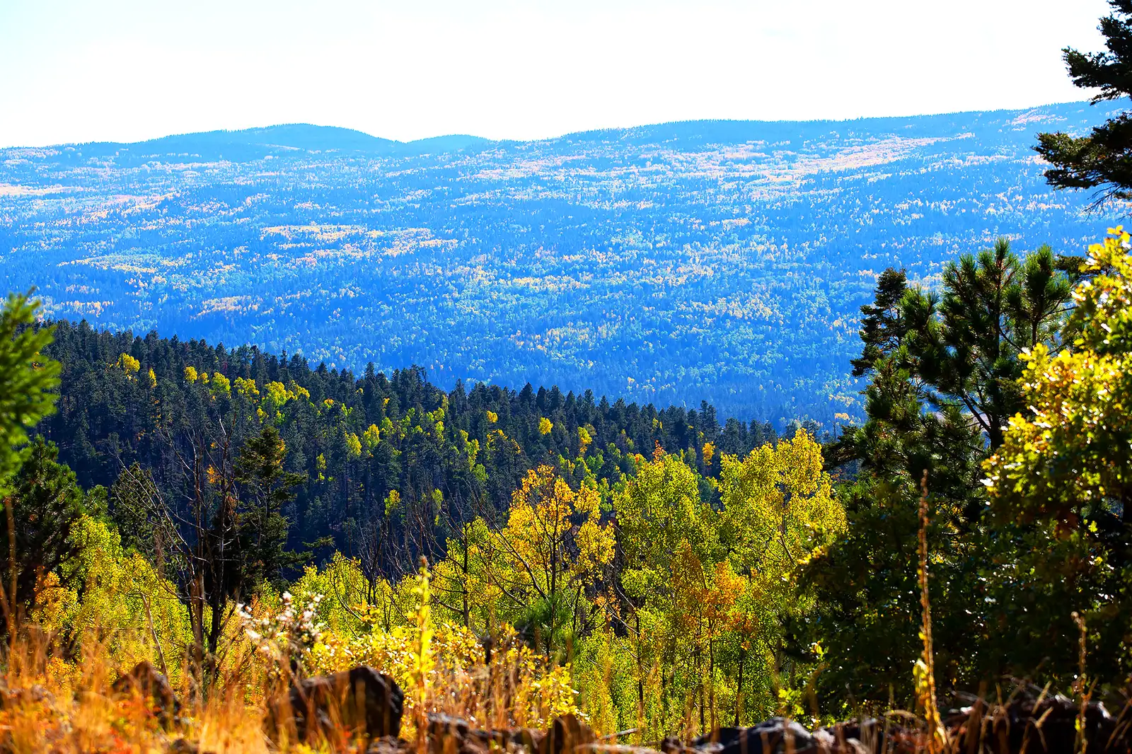 The Ranch at Angel Fire image 22