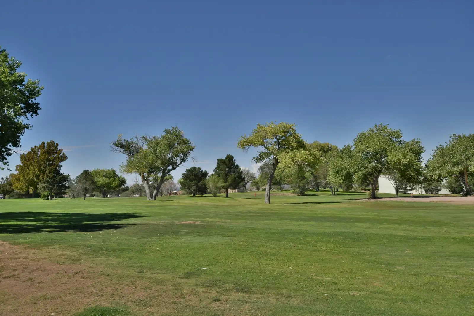 Sunport Apartments image 7