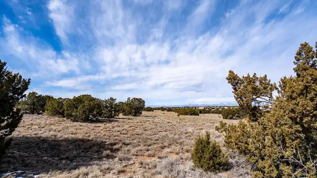 View image 11