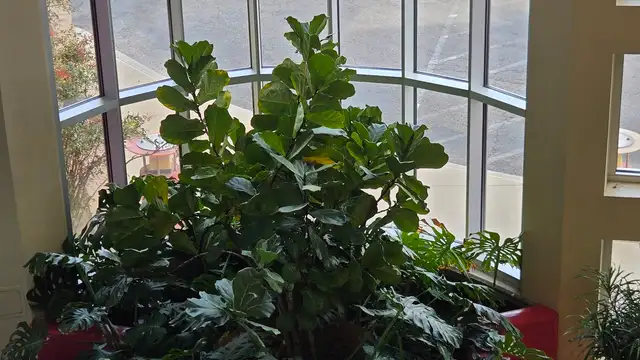 View image 5