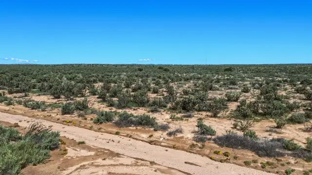 View image 6