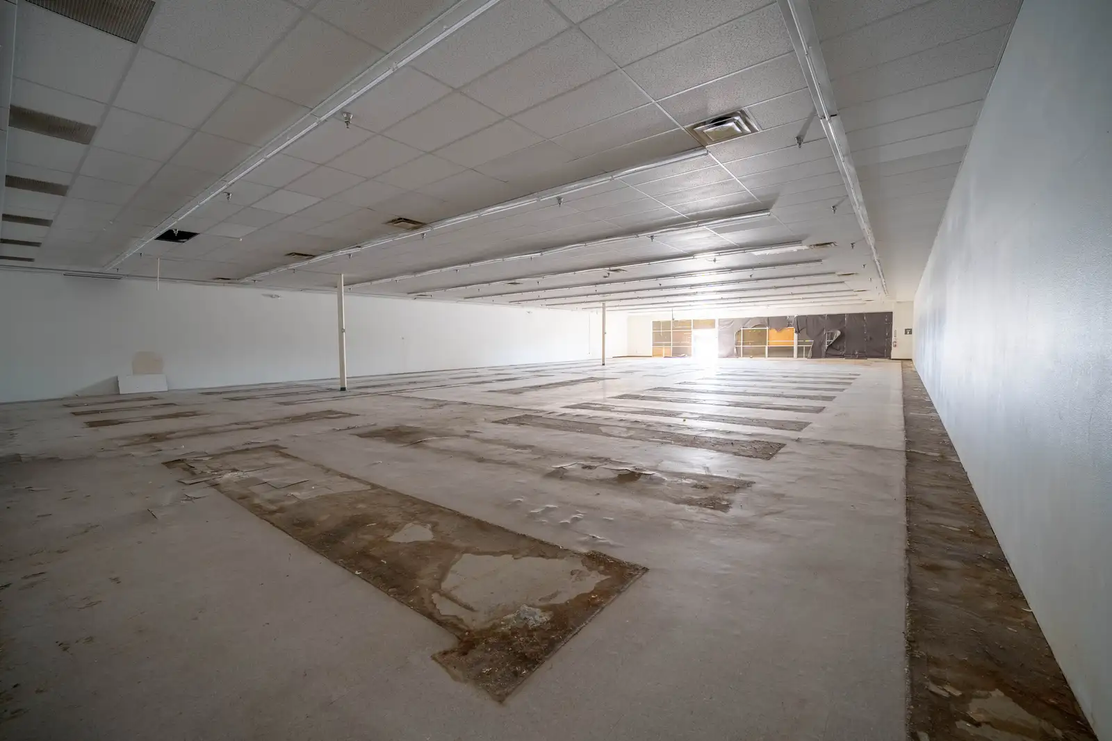 102 Caldwell Ave image 8