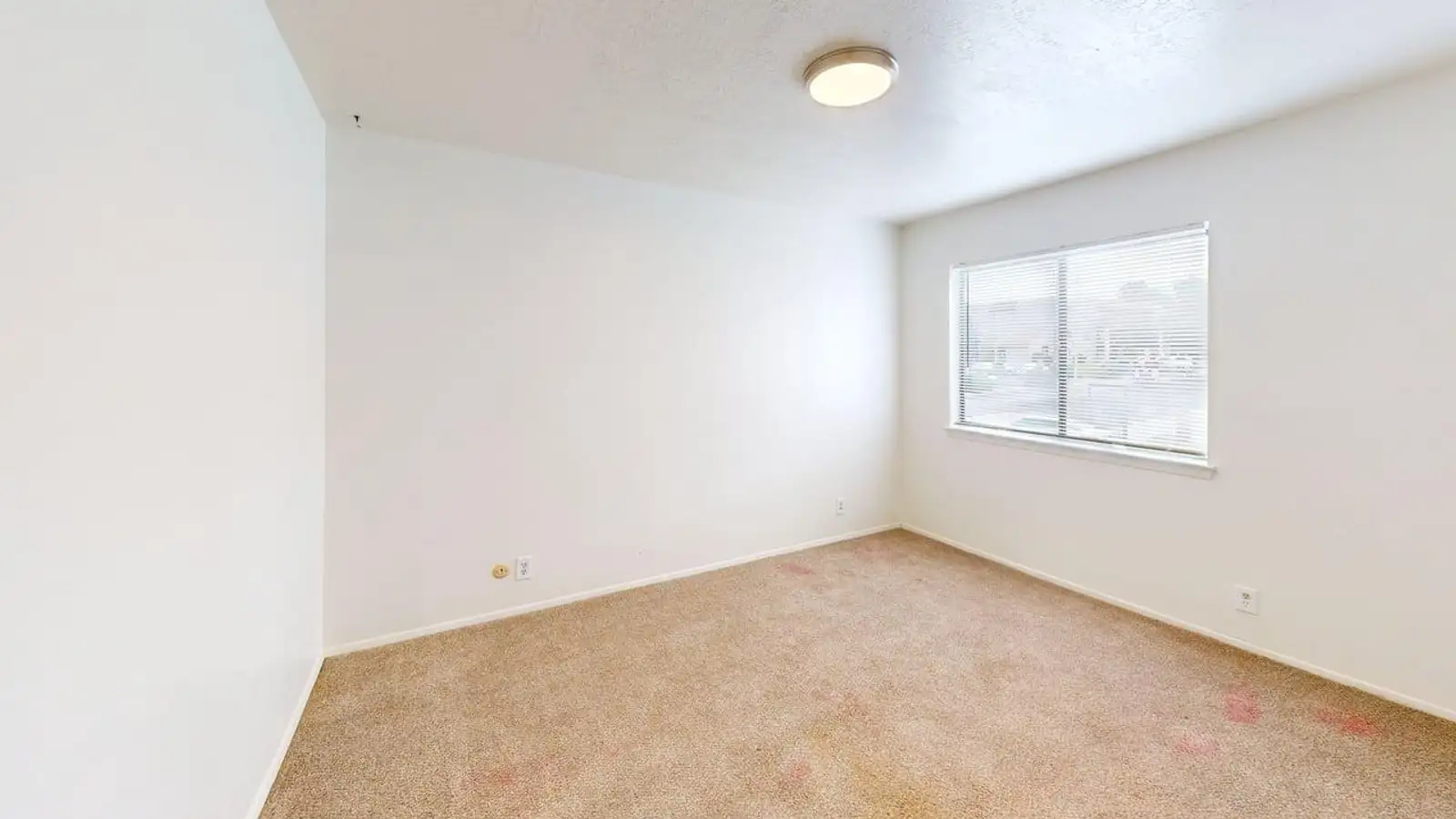 3609 Wellesley Dr NE image 26