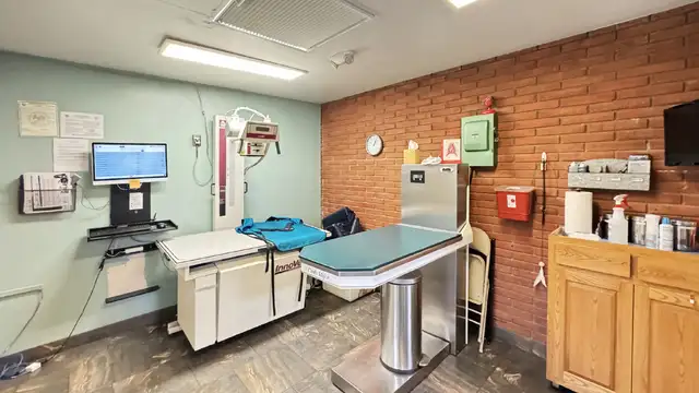 View image 4