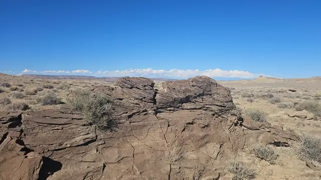 View image 19