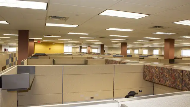 View image 2
