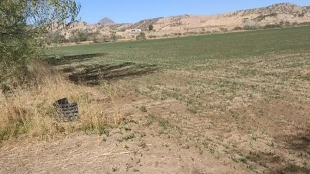 View image 2