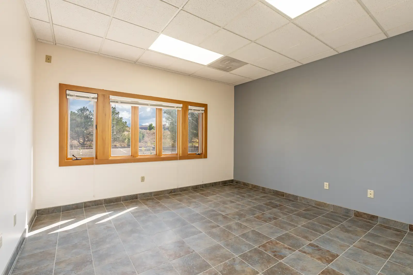 460 St Michaels Dr image 12