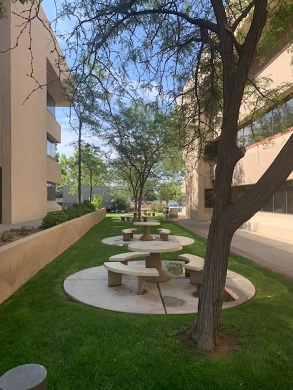 Clifford Plaza image 7