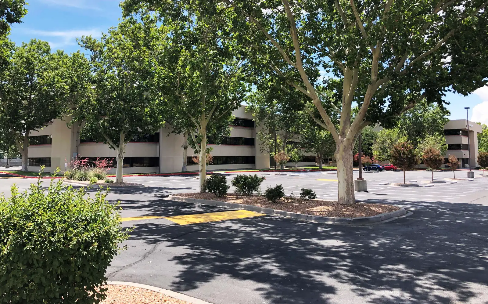 Clifford Plaza image 6