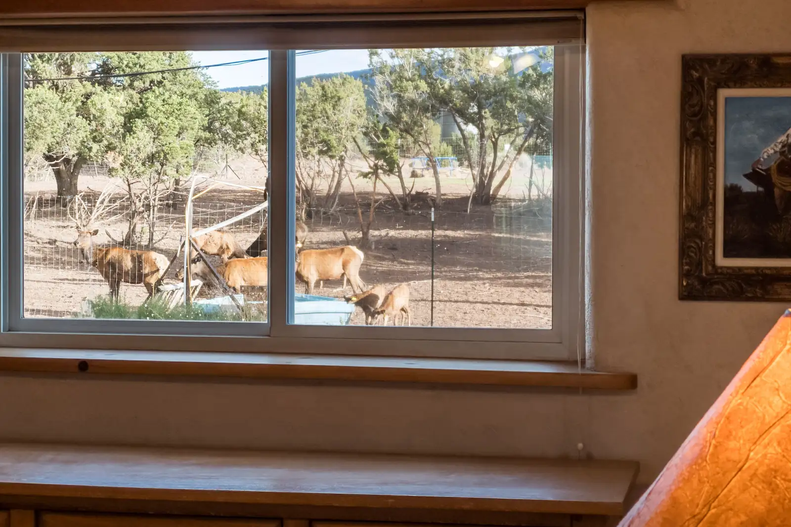 Elk Ridge Ranch image 49