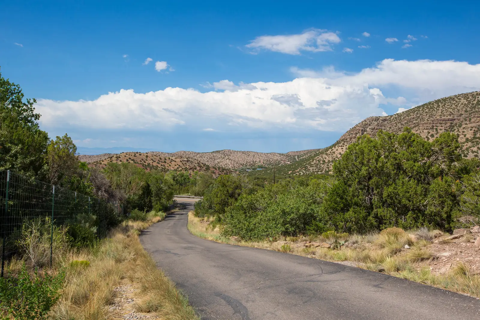 Elk Ridge Ranch image 84