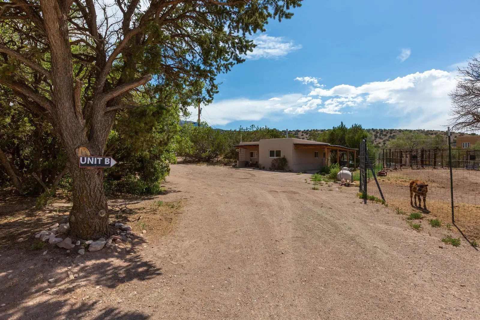 Elk Ridge Ranch image 61