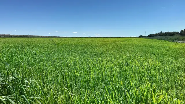 View image 6