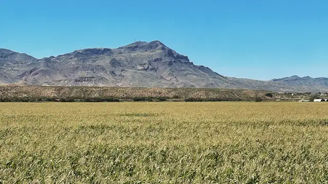 View image 2
