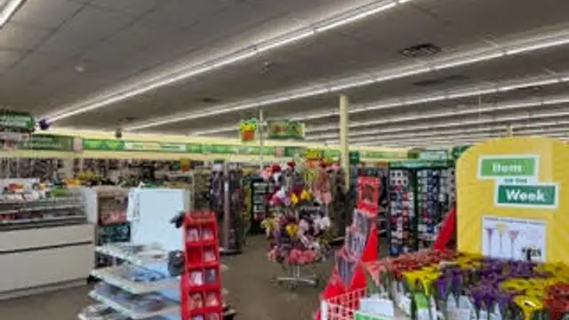 View image 4