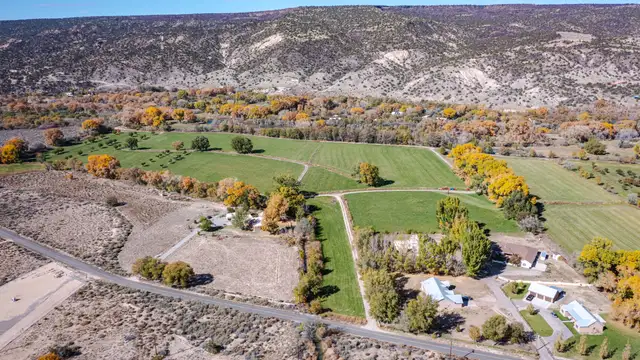 View image 4