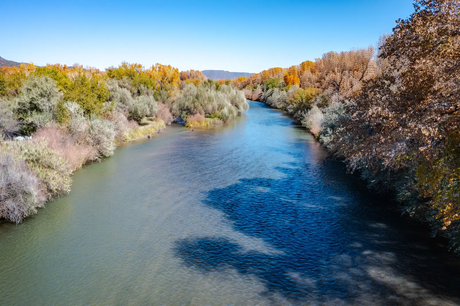 Co Rd 39 & Co Rd 41 image 13