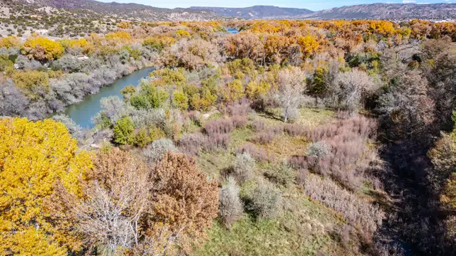 View image 12