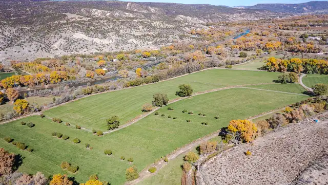 View image 7