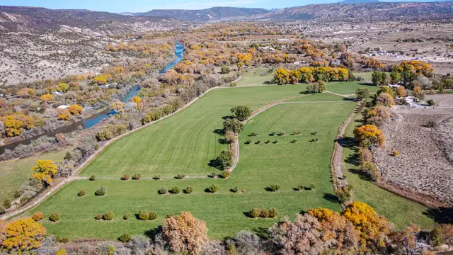 View image 9