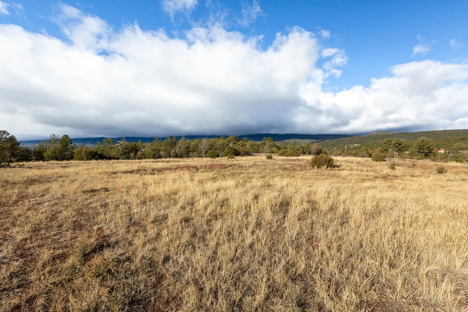 12475 NM-14 Scenic image 16