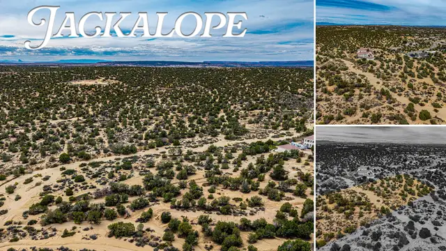 NYA Antelope Jct listing image