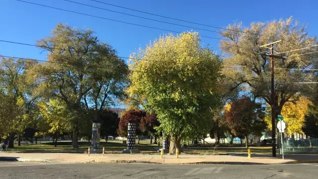 View image 13