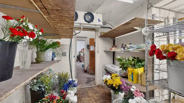 View image 7