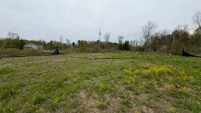 View image 4