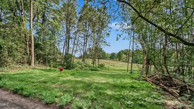View image 9