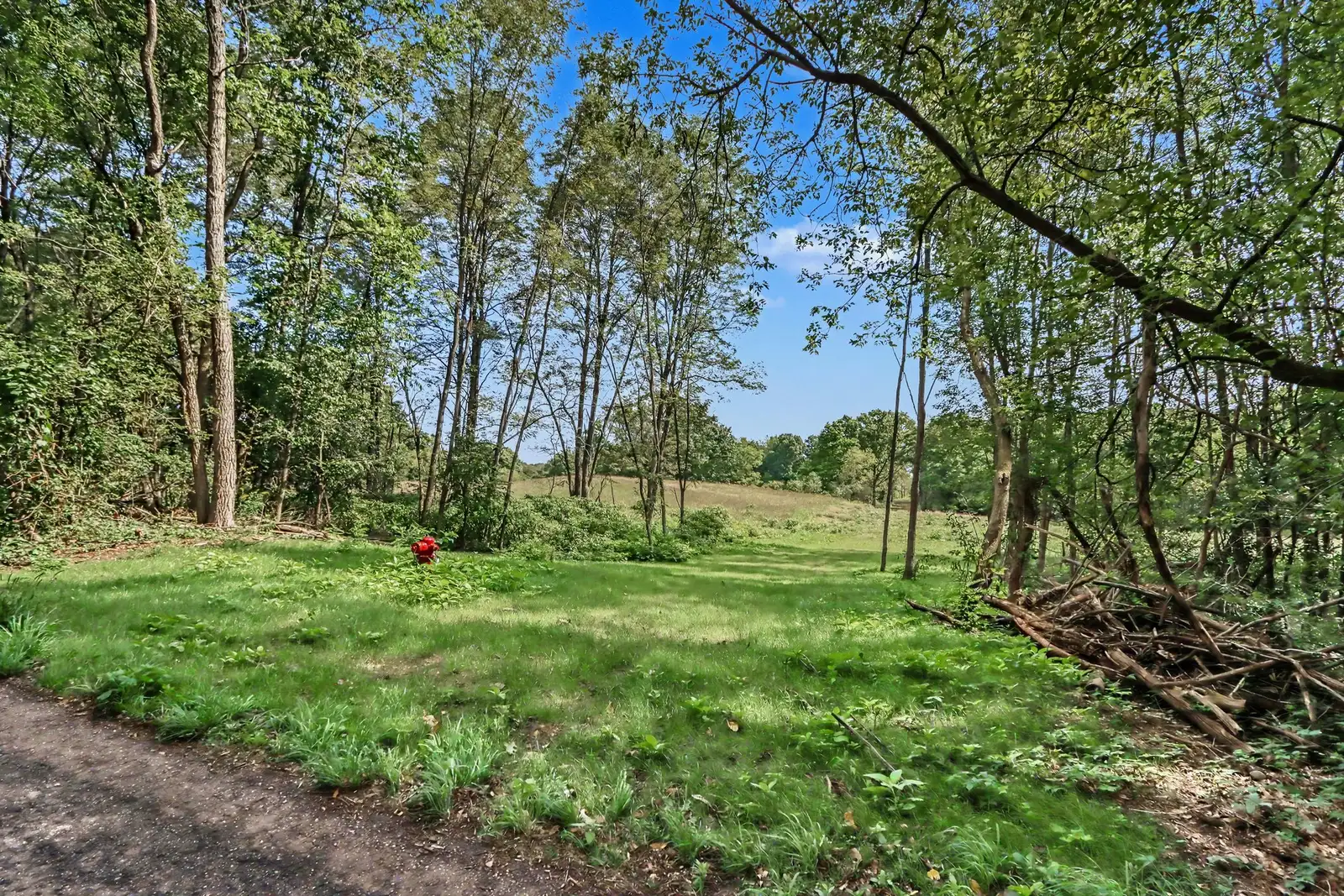 950 N 35th St image 9