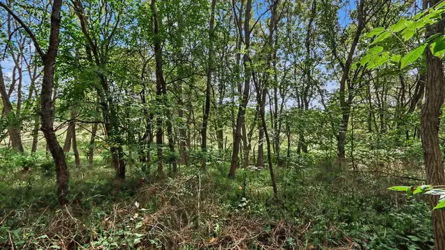 View image 5