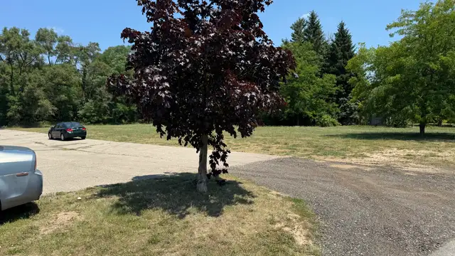 View image 12