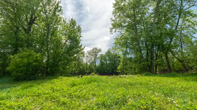 View image 39