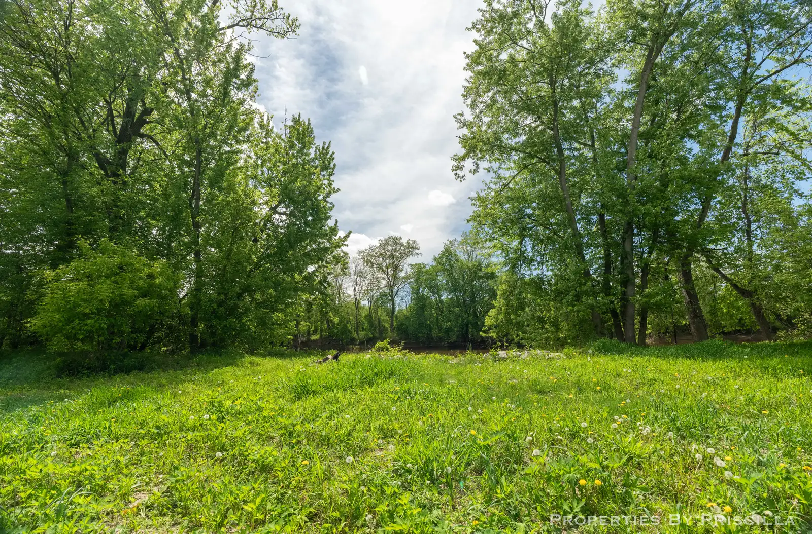 7251 Midland Rd image 39