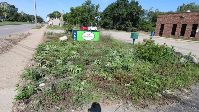 View image 8