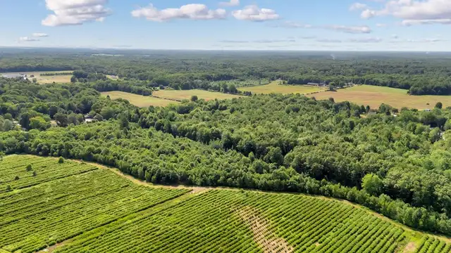 View image 10