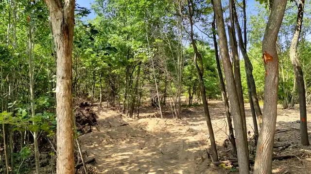 View image 20