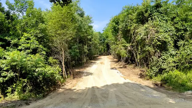 View image 5